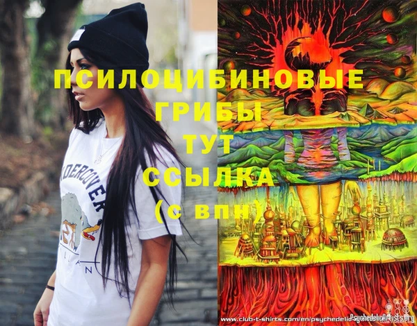 стафф Новозыбков