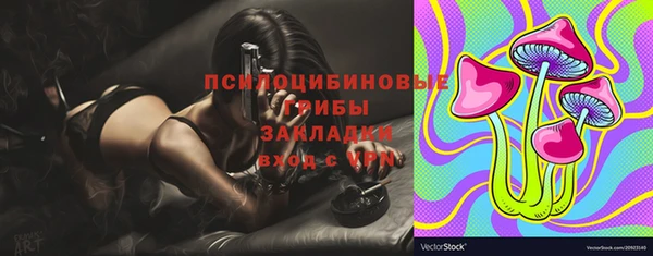спиды Вязьма