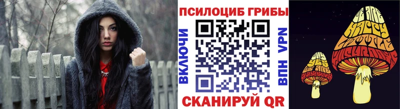 Псилоцибиновые грибы MAGIC MUSHROOMS  цена наркотик  Гурьевск 